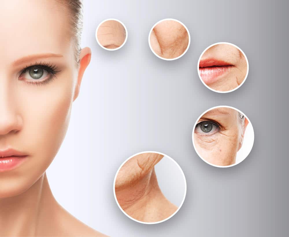 Kosmetische Hautverjüngung (Skin Rejuvenation)